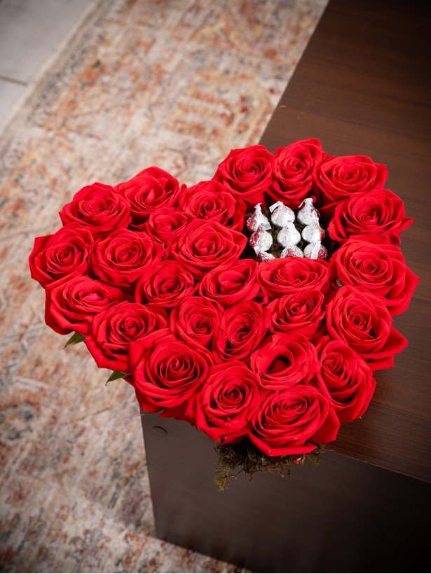 AMOR-24