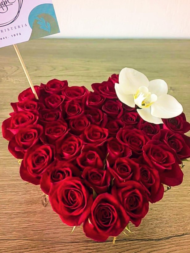 AMOR-26