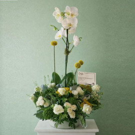 Condolencias 16