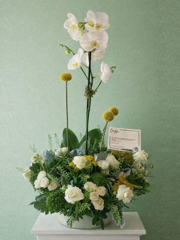 Condolencias 16