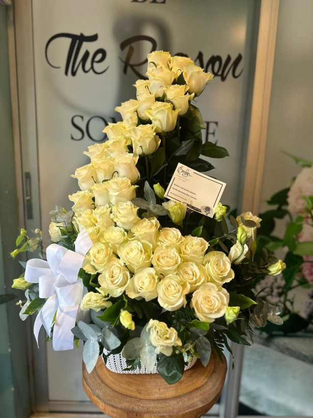 Condolencias 17