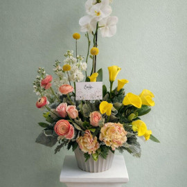 Orquídea 16