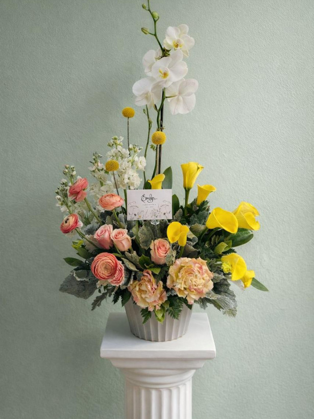 Orquídea 16