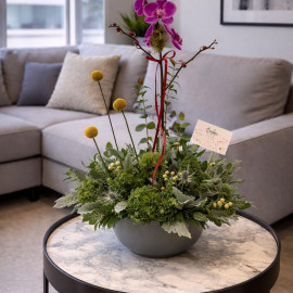 Orquídea 18