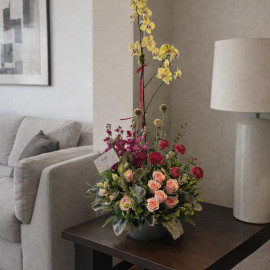 Orquídea 19