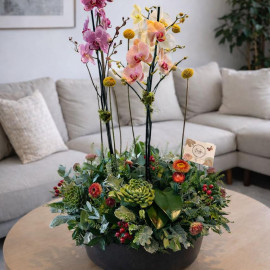 Orquídea 02