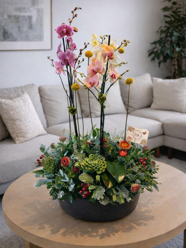 Orquídea 02