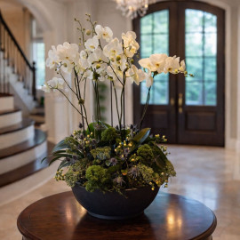 Orquídea 20