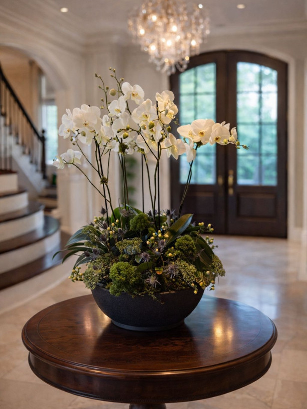 Orquídea 20