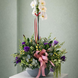 Orquídea 03