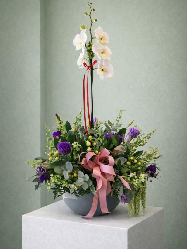 Orquídea 03