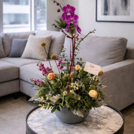 Orquídea 05