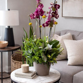 Orquídea 06