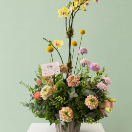 Orquídea 09