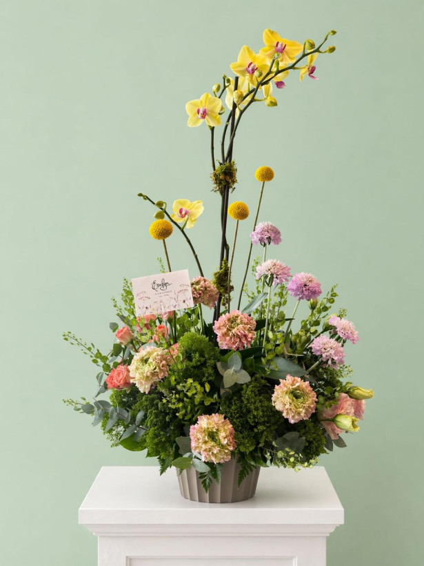 Orquídea 09